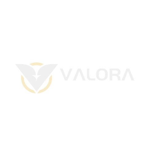 Valora Trading Academy footer logo